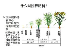 红四方缓控释肥高科技