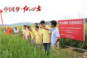 中盐红四方是全国首家农化服务中心，开展农业调查和土壤测试，开展配方制定和合理生产复合肥，开展农化咨询服务，为农民答疑解难。其农化服务是厚重有根基的。