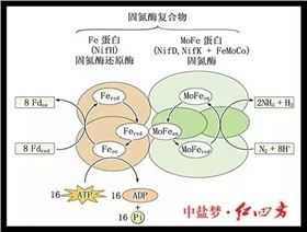 土壤肥力有限，长期吸收单一养分，会使土壤肥力下降，作物生长发育不良，易造成土地贫瘠，从而造成土地荒漠化，引发沙尘暴等。