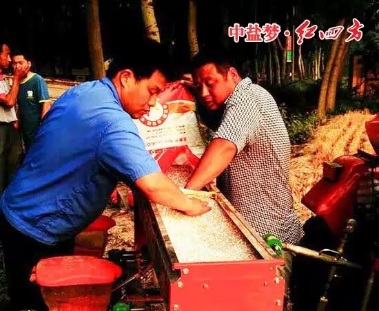 红四方玉米缓控释肥种肥同播忙碌