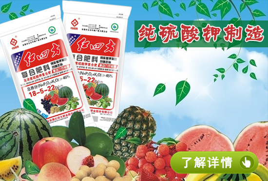 双硫基含硝态氮升级纯硫酸钾复合肥45%（18-5-22）