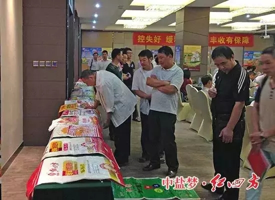 躬耕盛夏，蓄力金秋。我们不复制激动，只创造激情！