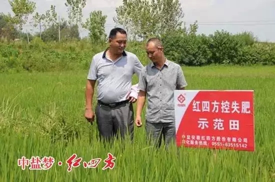 走在田间地头，当地经销商深发感触