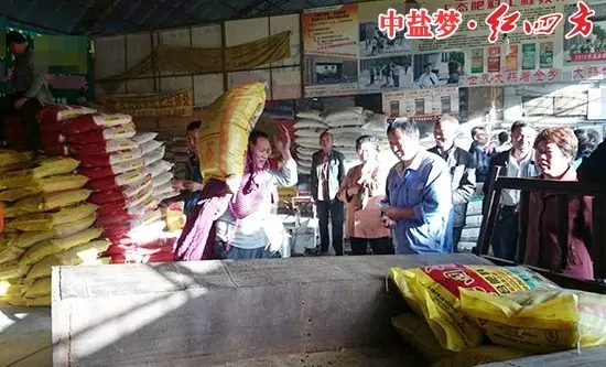 在山东金乡羊山,因红四方肥料的效果出类拔萃 在山东金乡羊山,因红四方肥料的效果出类拔萃