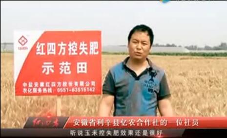 安徽利辛小麦玉米控失肥示范田.