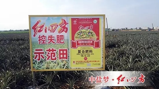 我们决定对高塔肥料南方包装袋的缝合方式进行改进，目前客户反馈的信息非常良好，连带着销售积极性都增强许多。