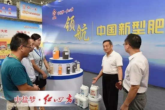 安徽省化肥工业协会名誉理事长夏英彪（右二）莅临展位