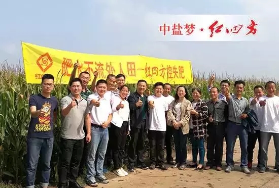 全国农技推广中心孟远夺（左七），吉林省土肥总站、扶余土壤肥料站等领导、专家，红四方副总经理陈勇（左八）全程参与本次走访活动。.webp.jpg