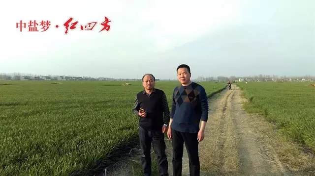 作为农资经销商，如果产品不稳定，是卖不动的，就算卖出去，万一出问题，心理上也过意不去，干我们这行大多是老实巴交的农民，本来就不容易。