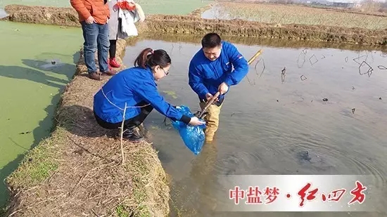 然而，要想莲藕“含金量”和产量名列前茅，需要定期施肥管理，为此，我产生了为花香藕量身定制专用配方的念头，于是，就有了开头藕塘取土采样的画面。